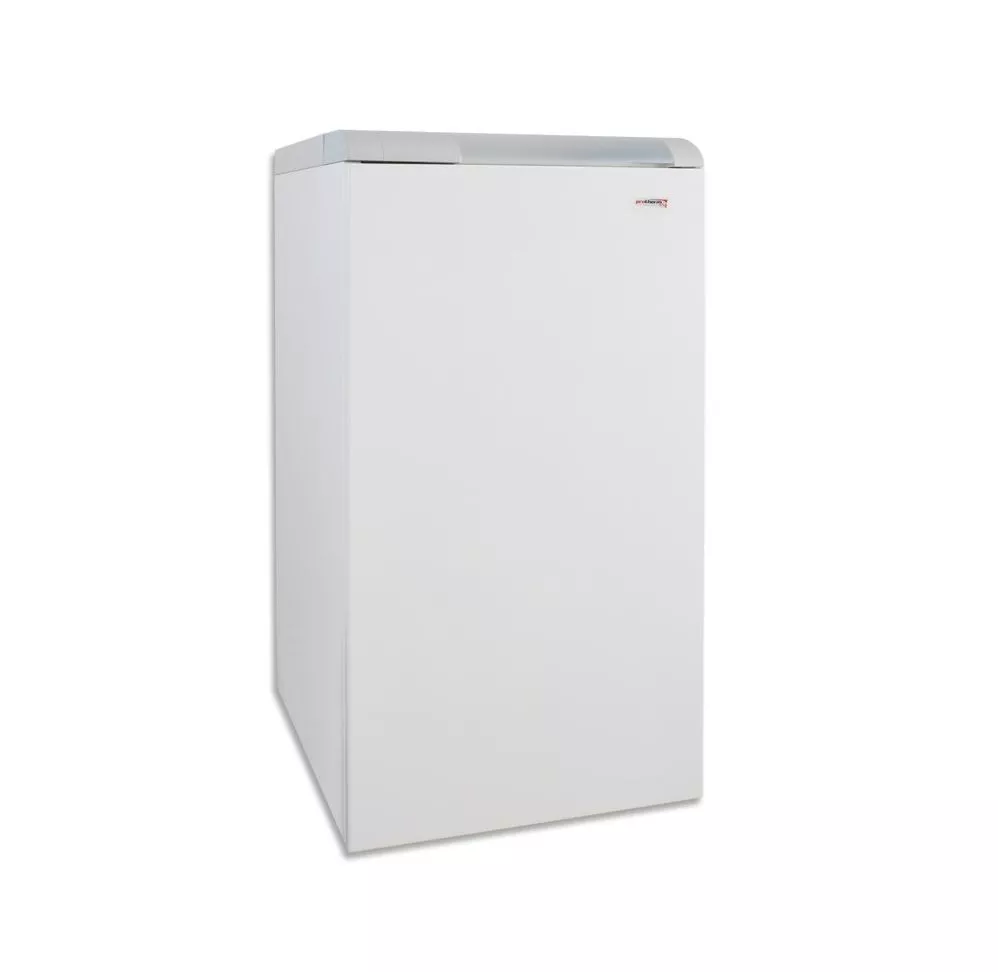 Котел газовый Protherm Медведь PLO 20 - PLO 60