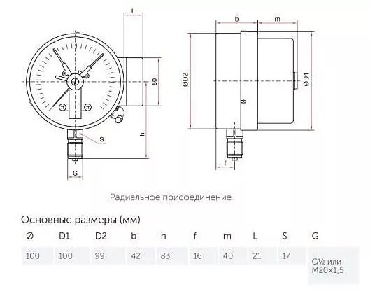 Манометр электроконтактный 1/2 0-0,6МПа 100мм 1.5 радиальное Росма ТМ-510Р.05(0-0,6МПа)G1/2.1,5 00000007334